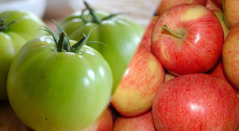 apple and green tomatoes