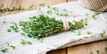 thyme