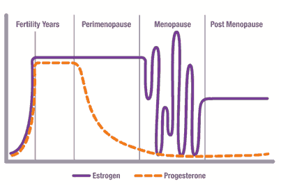 Menstrual Cycle Graph