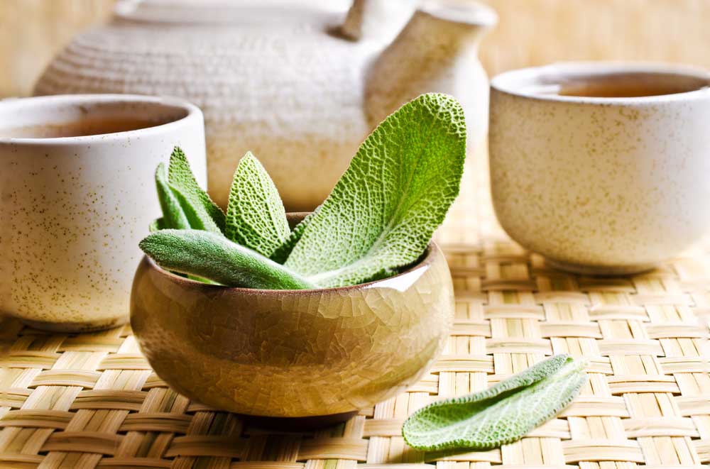 the benefts of sage herb