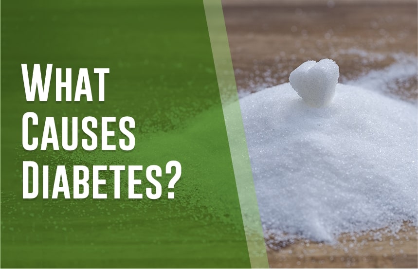 What Causes Diabetes?