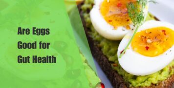 Are Eggs Good for Gut Health