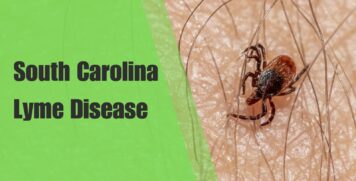 South Carolina Lyme Disease