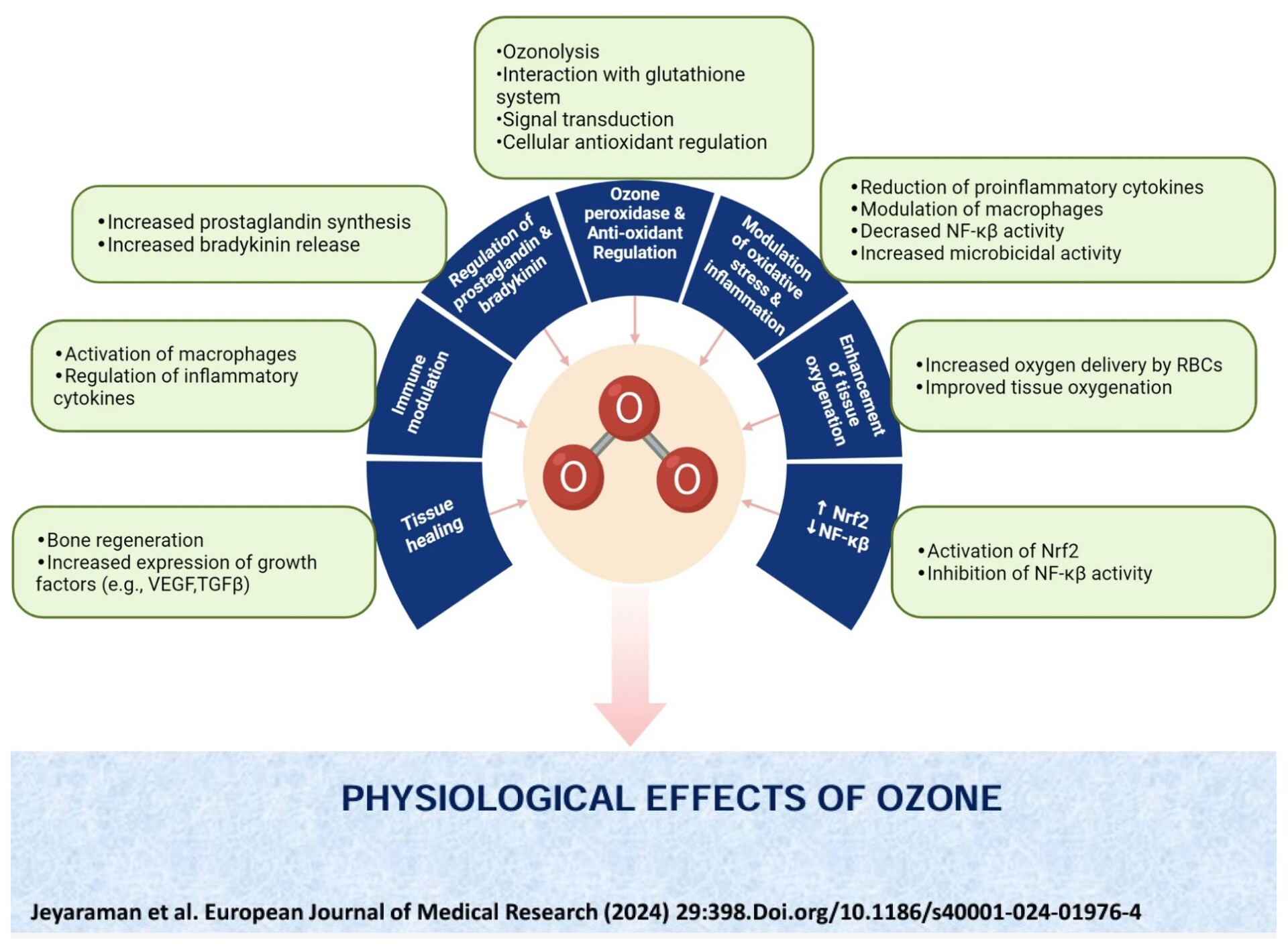 Physiological Effect of Ozone