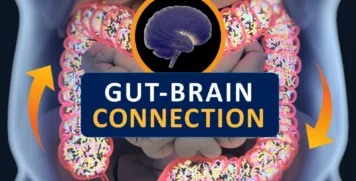 GutBrainConnection