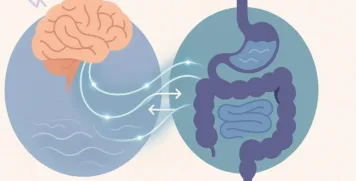 Illustration showing the gut-brain axis connection with neural pathways linking the brain and digestive system.